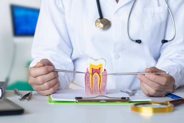 Best Pediatric Emergency Dentist in Alamo, CA